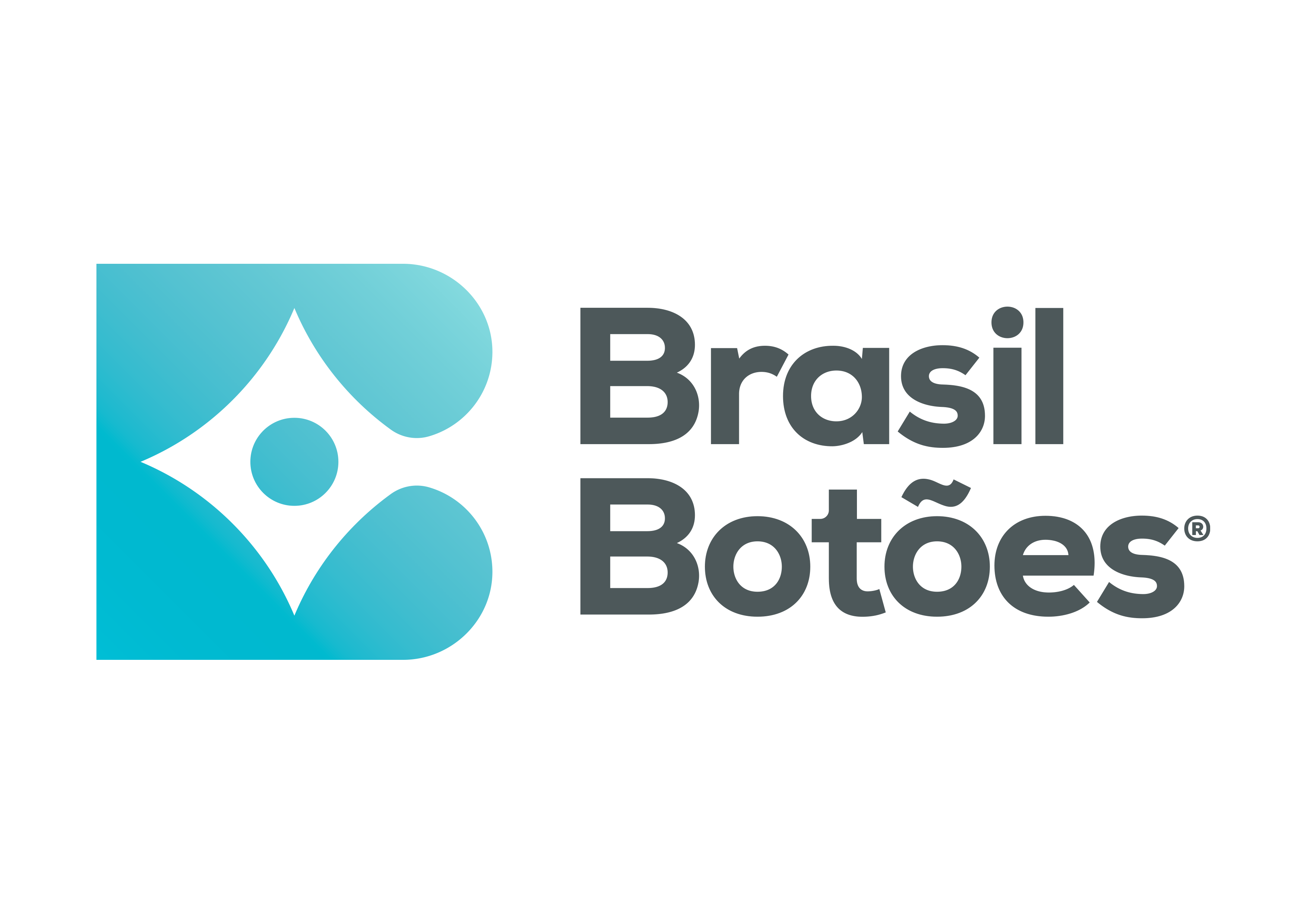 Imagem de BRASIL BOTOES LTDA